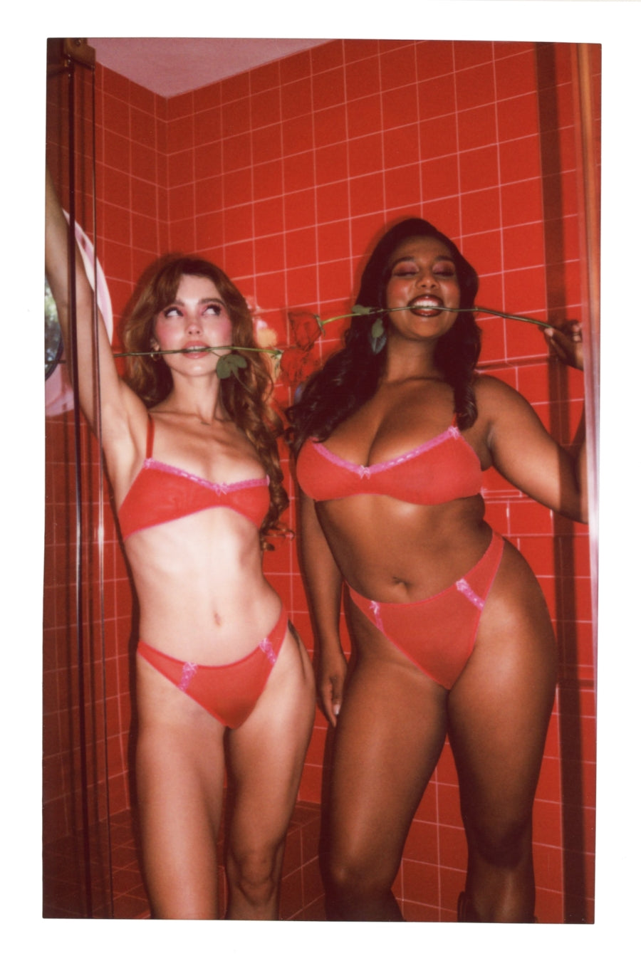 Nancy: The Complete Brief Set